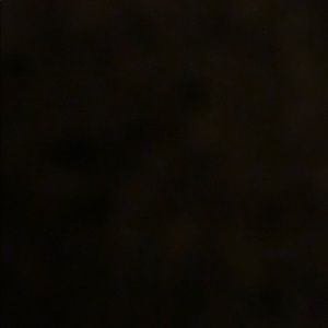 Meet your Posher, Selina